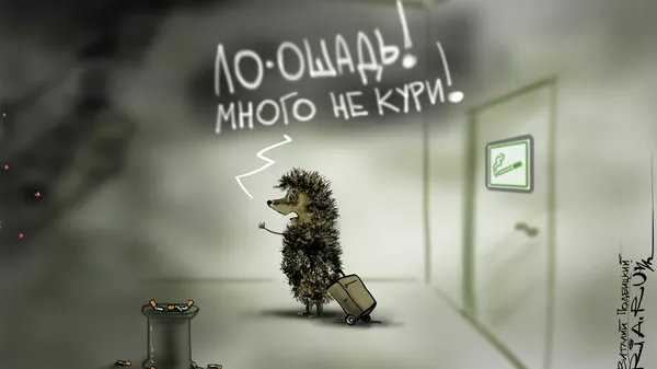 Ежик в дыму Ежик в дыму