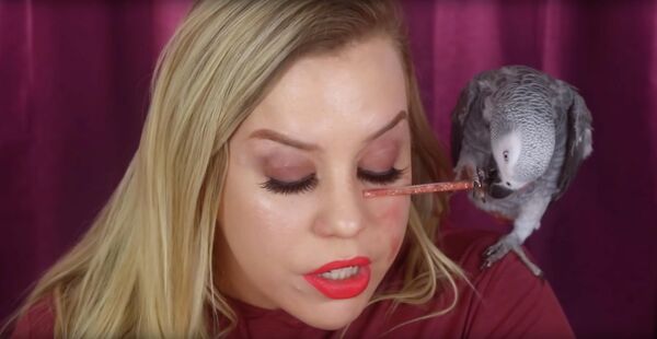 Стоп-кадр видео My Bird Does My Makeup Стоп-кадр видео My Bird Does My Makeup