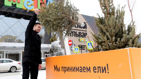 Утилизация новогодних елок Утилизация новогодних елок