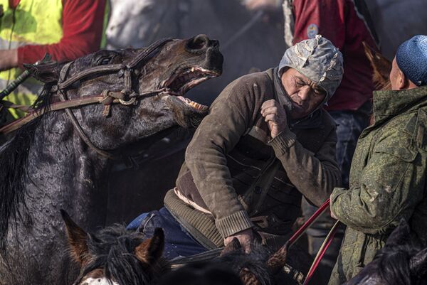 Всадники во время национального состязания Аламан улаке в Кара-Сууйском районе Киргизии Всадники во время национального состязания Аламан улаке в Кара-Сууйском районе Киргизии