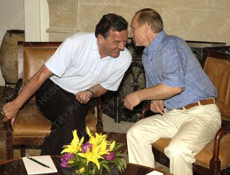 В.Путин и Г.Шредер во время встречи В.Путин и Г.Шредер во время встречи