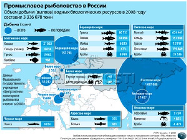 Промысловое рыболовство в России Промысловое рыболовство в России