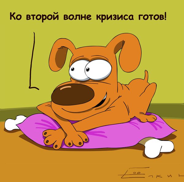 Готовность №1 ко второй волне мирового финансового кризиса Готовность №1 ко второй волне мирового финансового кризиса