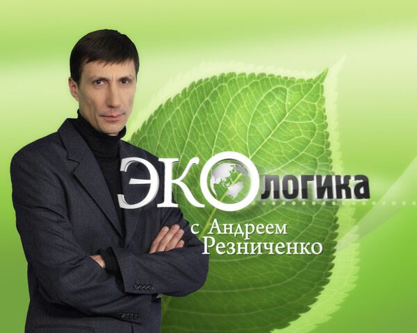 День окружающей среды: есть ли у России повод для праздника? День окружающей среды: есть ли у России повод для праздника?