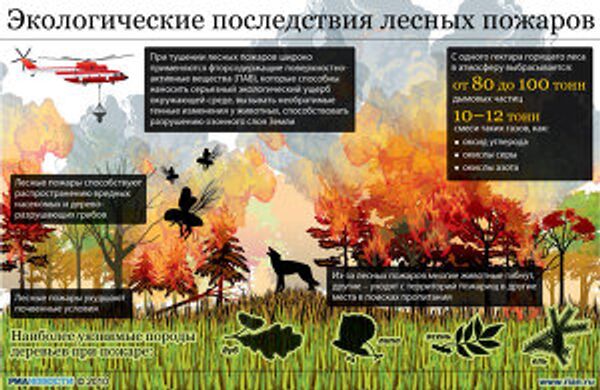 Экологические последствия лесных пожаров Экологические последствия лесных пожаров