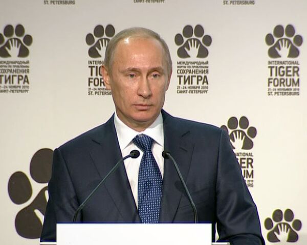 Путин назвал вымирание тигров трагедией и сигналом бедствия от природы Путин назвал вымирание тигров трагедией и сигналом бедствия от природы