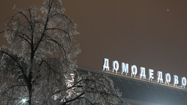 Аэропорт Домодедово. Архив Аэропорт Домодедово. Архив