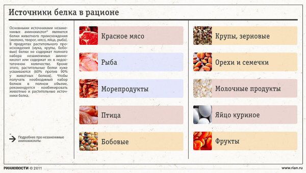 Источники белка в рационе Источники белка в рационе
