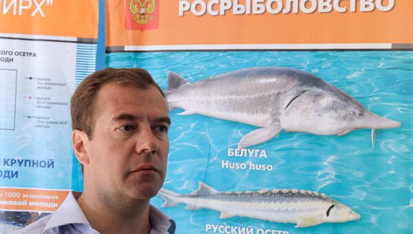 Рабочая поездка Дмитрия Медведева в Астрахань Рабочая поездка Дмитрия Медведева в Астрахань