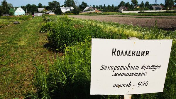 Суд рассмотрит апелляцию в споре о земле Павловской опытной станции Всероссийского института растениеводства Суд рассмотрит апелляцию в споре о земле Павловской опытной станции Всероссийского института растениеводства