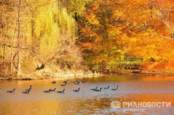 В Нью-Йорк после снегопада пришло бабье лето В Нью-Йорк после снегопада пришло бабье лето