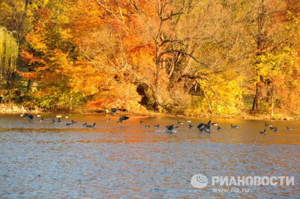 В Нью-Йорк после снегопада пришло бабье лето В Нью-Йорк после снегопада пришло бабье лето