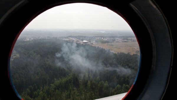 Пожары в лесах Томской области, архивное фото Пожары в лесах Томской области, архивное фото