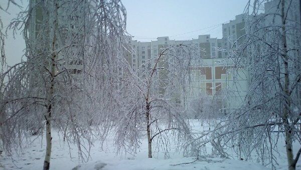 Зимний день в Москве Зимний день в Москве