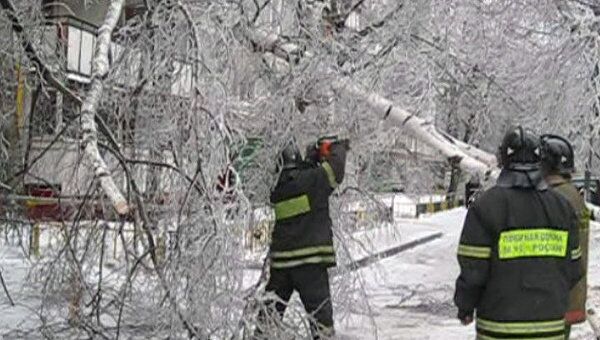 Обледеневшие береза и бетонный столб рухнули на востоке Москвы Обледеневшие береза и бетонный столб рухнули на востоке Москвы