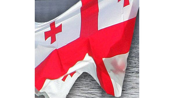 Грузины провели в Вене антироссийскую демонстрацию Грузины провели в Вене антироссийскую демонстрацию
