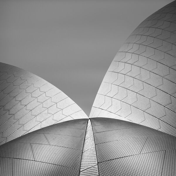 Allen Koppe. Работа победителя конкурса Photographer of the Year by Panasonic Allen Koppe. Работа победителя конкурса Photographer of the Year by Panasonic