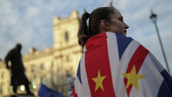 Участница протеста против Brexit возле здания Парламента в Лондоне Участница протеста против Brexit возле здания Парламента в Лондоне