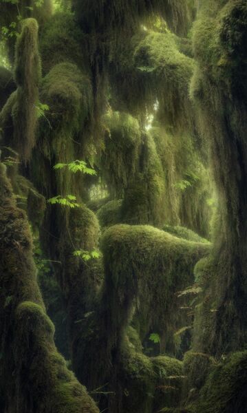 Blake Randall. Работа победителя конкурса The International Landscape Photographer of the Year 2019 Blake Randall. Работа победителя конкурса The International Landscape Photographer of the Year 2019