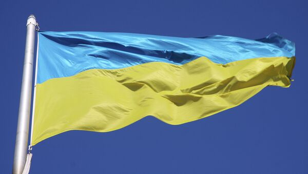 Флаг Украины. Архивное фото Флаг Украины. Архивное фото