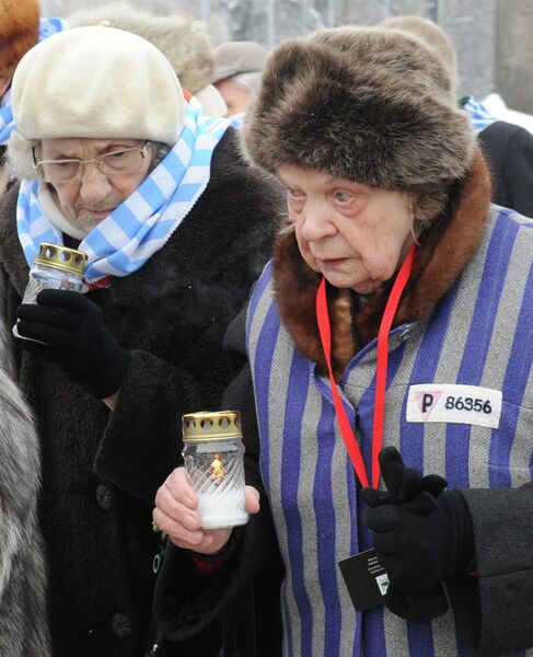 Мероприятия, посвященные 68-й годовщине освобождения Освенцима Мероприятия, посвященные 68-й годовщине освобождения Освенцима