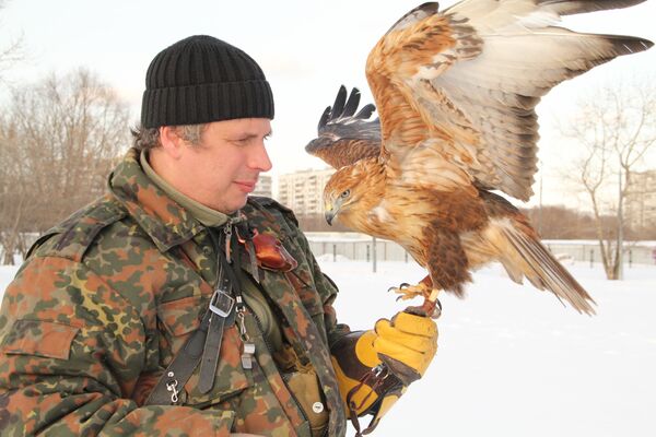 зачем хищным птицам закрывают глаза. . зачем хищным птицам закрывают глаза фото. зачем хищным птицам закрывают глаза-. картинка зачем хищным птицам закрывают глаза. картинка .
