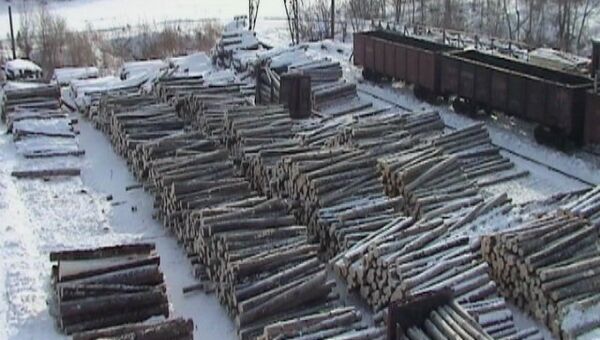Полиция пресекла деятельность черных лесорубов в Приморье Полиция пресекла деятельность черных лесорубов в Приморье
