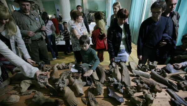 Посетители Новосибирского государственного краеведческого музея во время акции Ночь в музее Посетители Новосибирского государственного краеведческого музея во время акции Ночь в музее