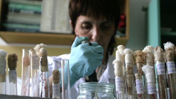 Лаборант во время работы в вирусологической лаборатории Управления Роспотребнадзора. Архивное фото Лаборант во время работы в вирусологической лаборатории Управления Роспотребнадзора. Архивное фото