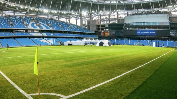 Презентация футбольного поля реконструируемого стадиона Динамо