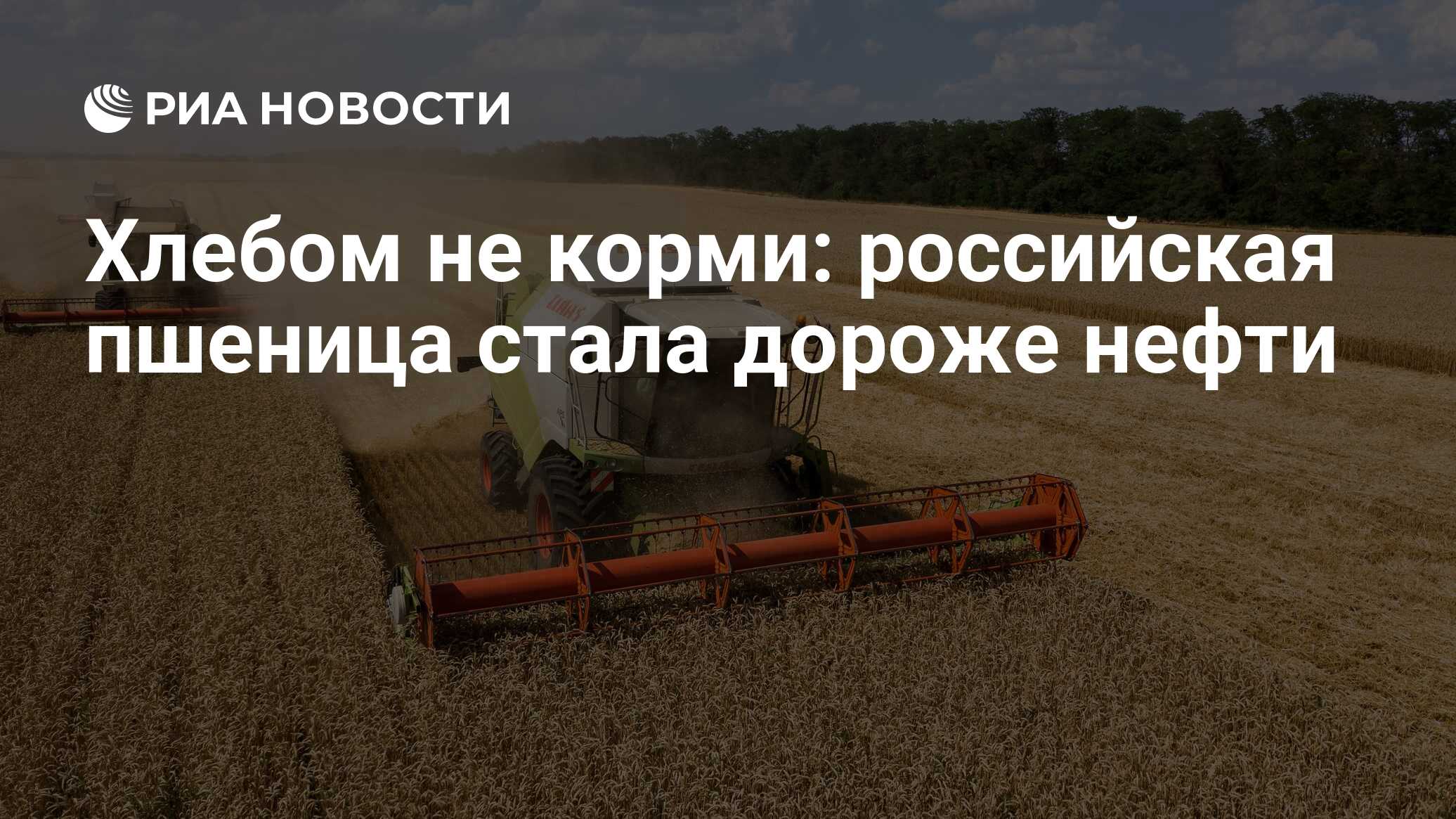 Возможность сельский. Прослеживаемости зерна. Экспорт продукции АПК вырос на 20%. Продукции АПК Оренбуржья. Система прослеживаемости зерна и продуктов его переработки.