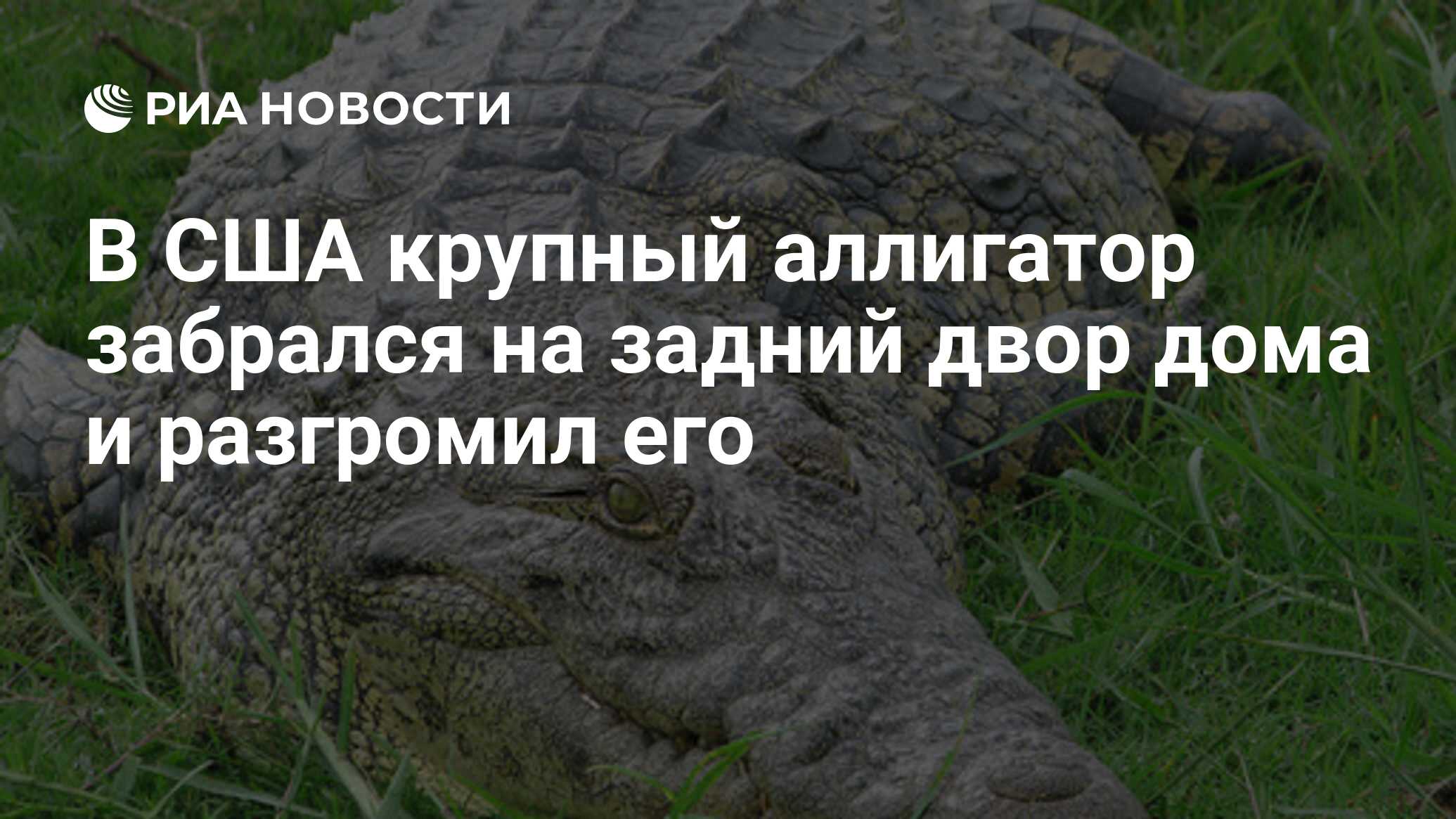 его