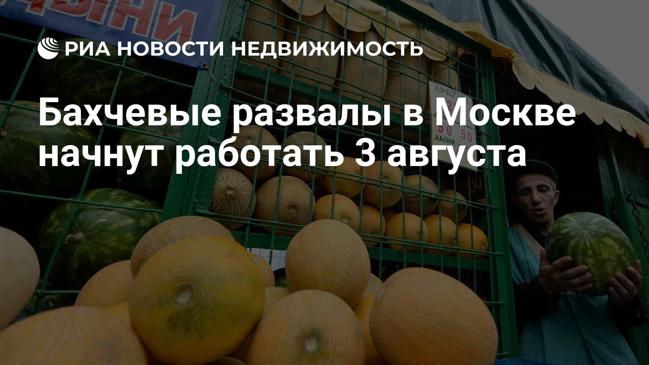 Бахчевый развал в москве. Бахчевые развалы для рынков. Выбор дыни. Как правильно выбрать дыню колхозницу