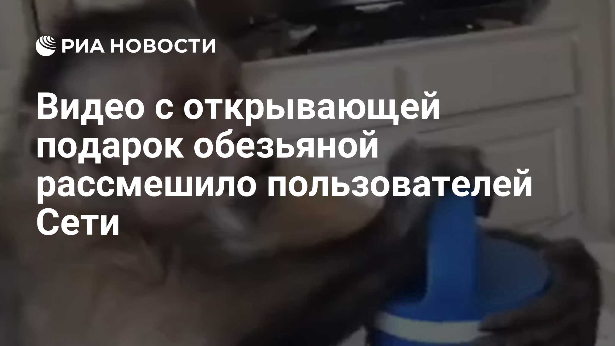 Обезьяна с подарком