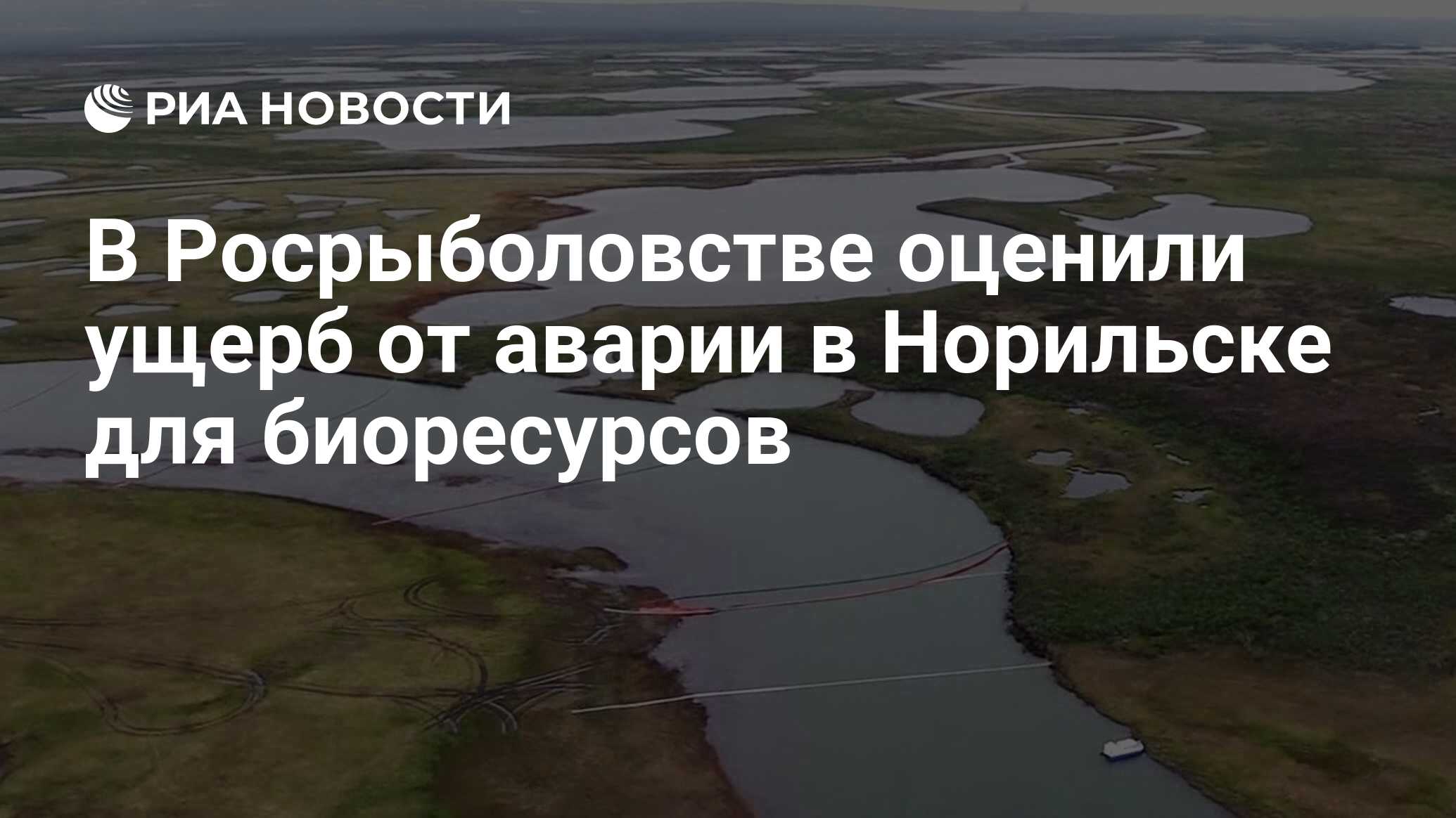 В Росрыболовстве оценили ущерб от аварии в Норильске для биоресурсов
