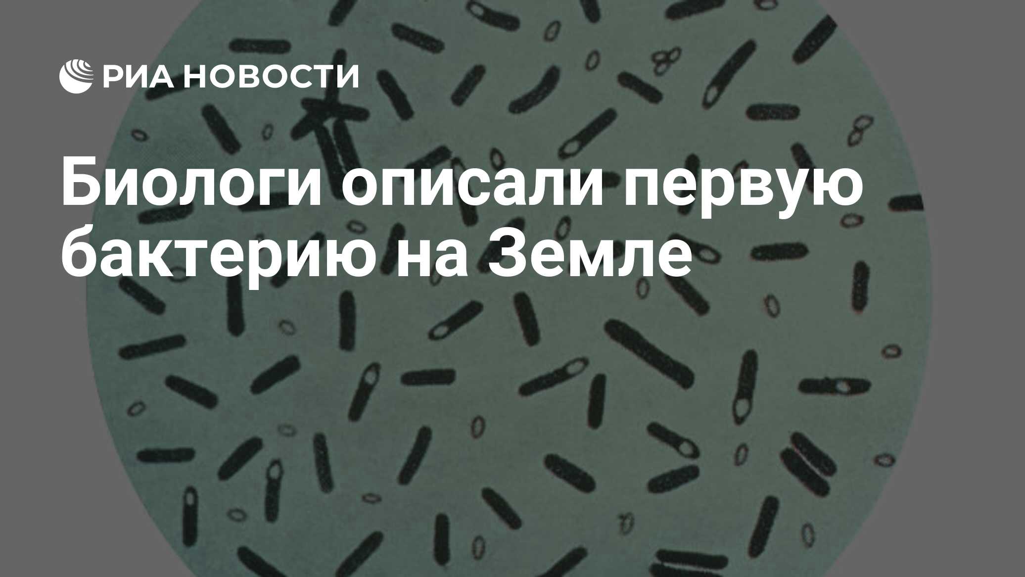 В банку попал 1 микроб. Первые бактерии на земле. Звуки микробов. Г+ И Г- бактерии. Звук бактерии закулисье.