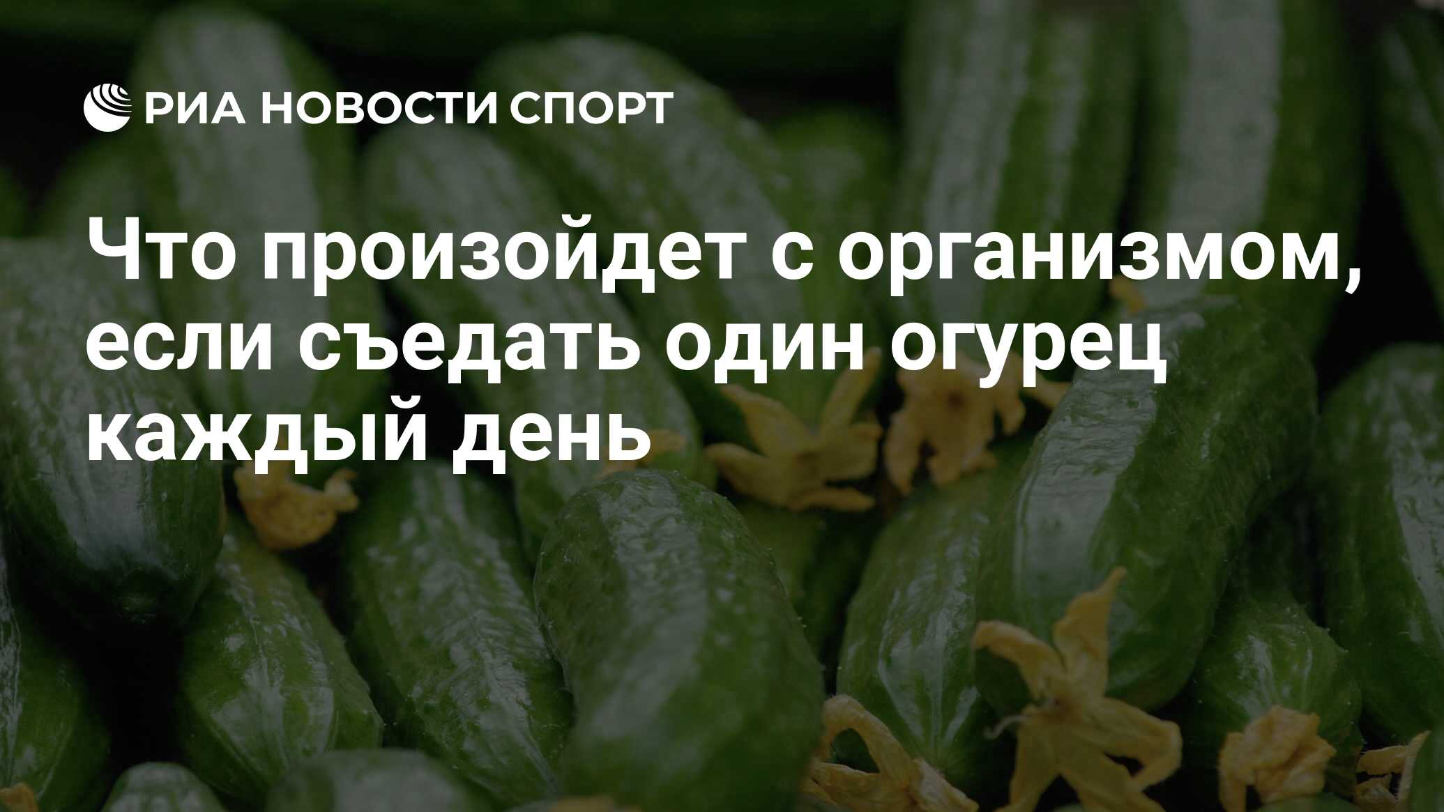 Что будет если есть огурцы каждый день